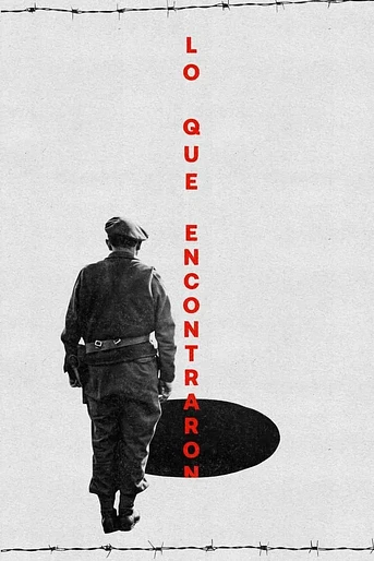 Poster de Lo que Encontraron