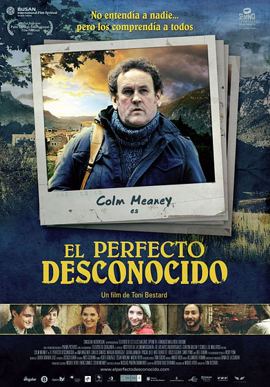 Imagen de El Perfecto desconocido (Cartel)