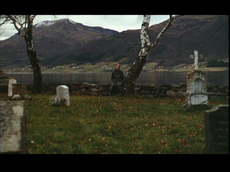 Imagen de Sonata de Otoño