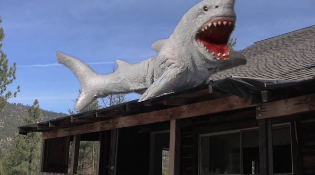 Imagen de Land Shark