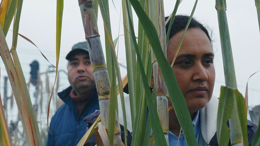 Imagen de Historias del Buen Valle
