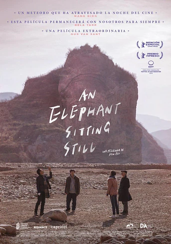Poster de An elephant sitting still