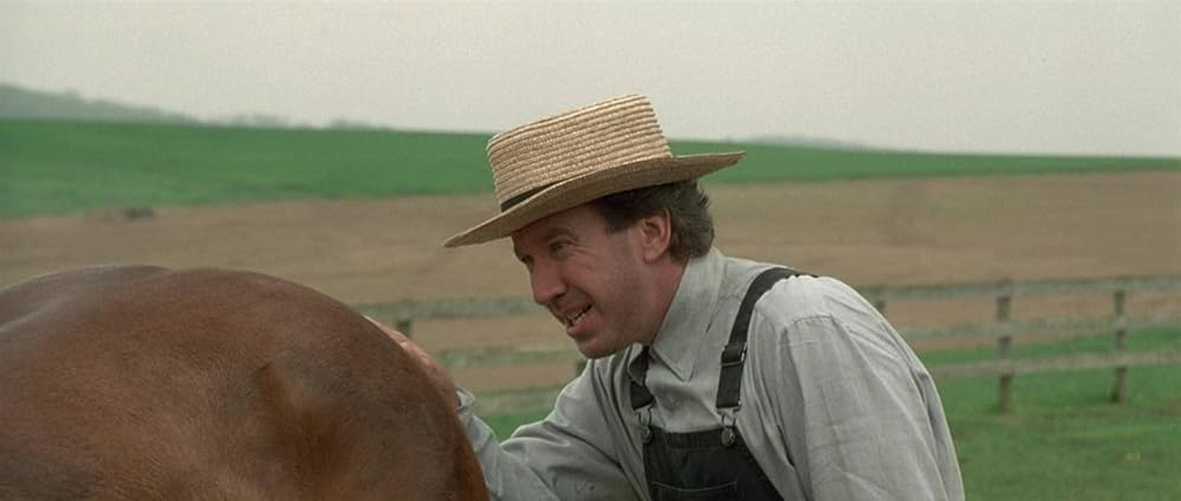 Tim Allen en A las Duras y a las Maduras
