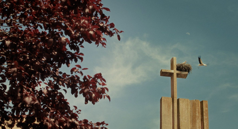 Imagen de Los Cangrejos