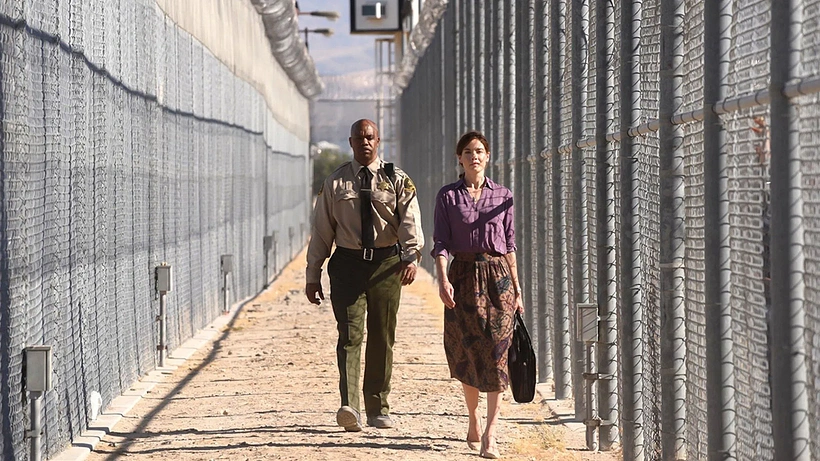 Imagen de Solo la Verdad