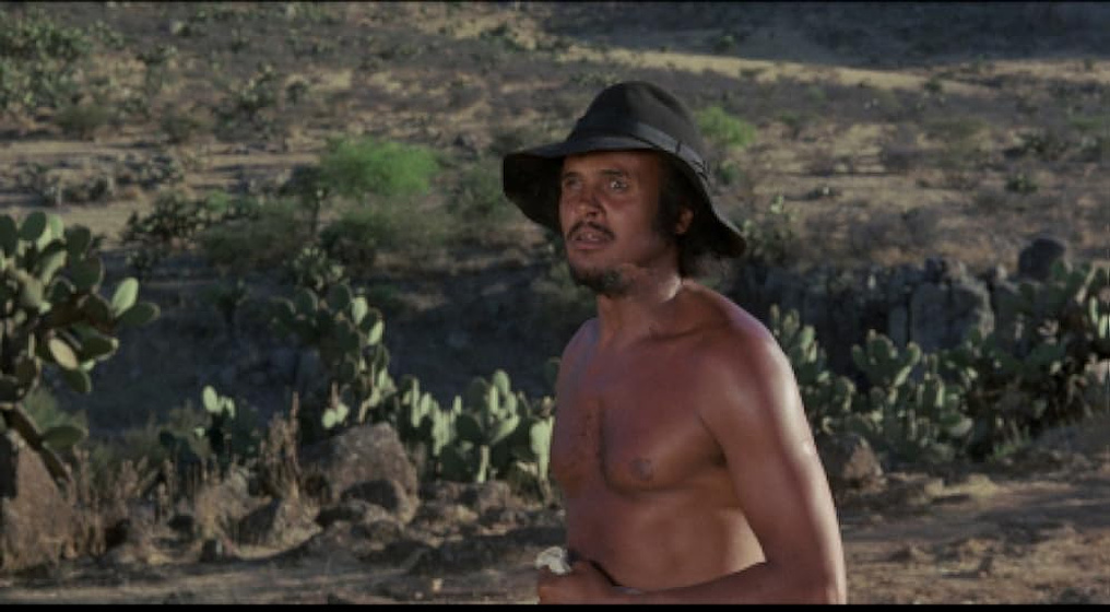 Harry Belafonte en Buck y el Farsante