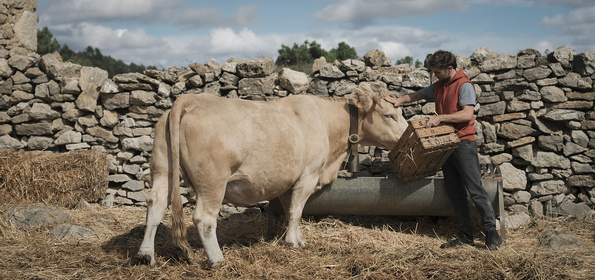 Carlos Cuevas en cowgirl