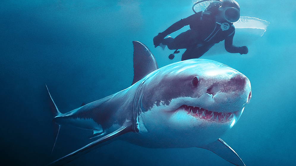Imagen de Jugando con Tiburones