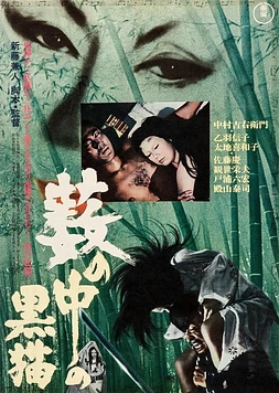 poster of movie El Gato negro