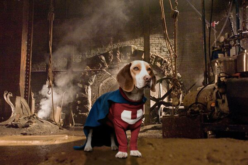 Imagen de Superdog