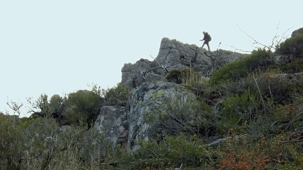 Imagen de dear-werner