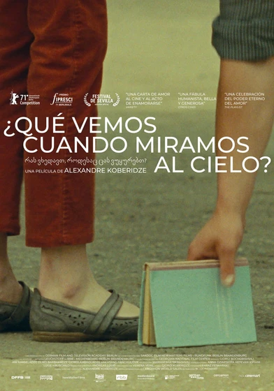 Imagen de que-vemos-cuando-miramos-al-cielo (Cartel español)