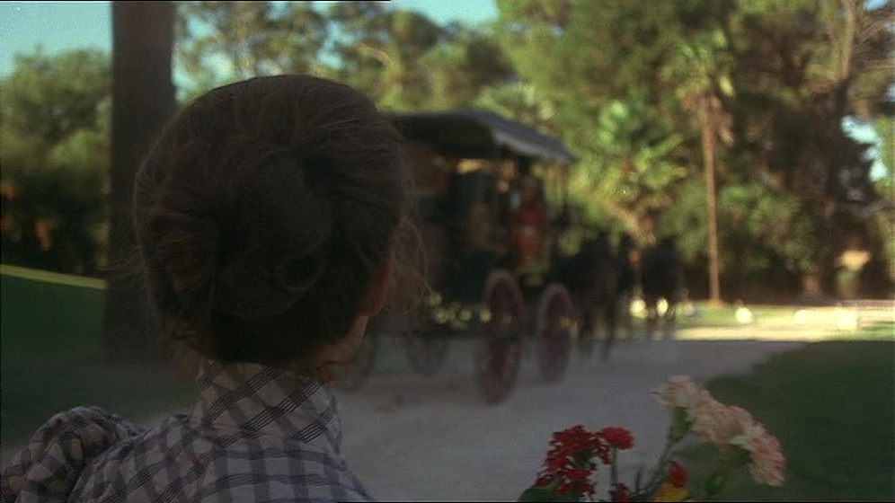 Imagen de Picnic en Hanging Rock