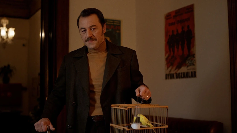 Imagen de Broken Years