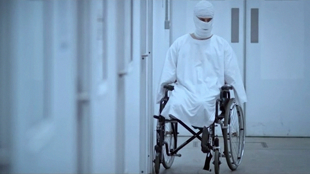 Imagen de starfish-2016