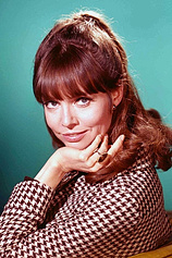 picture of actor Barbara Feldon