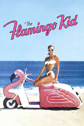poster of content The Flamingo Kid
