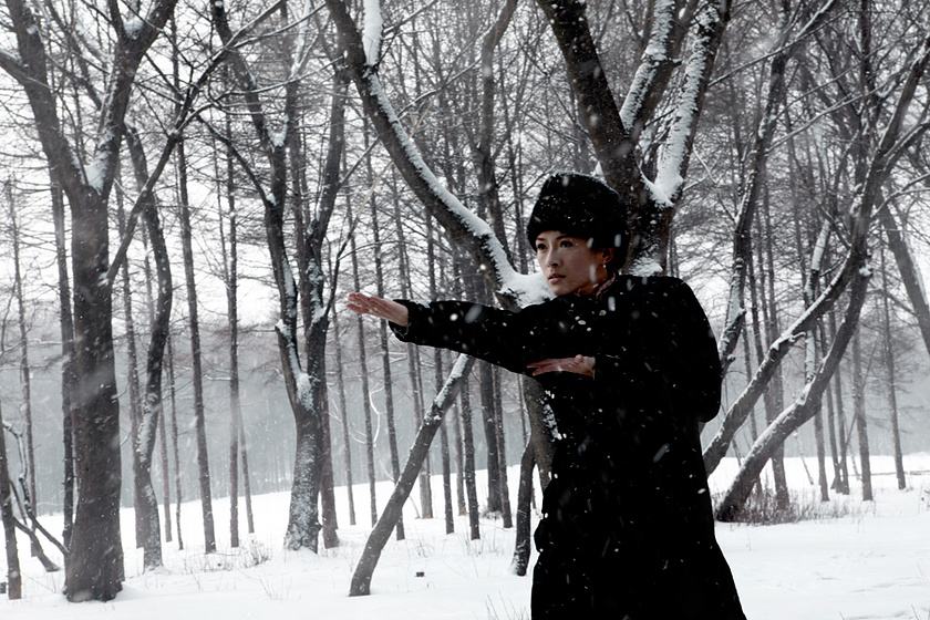 Ziyi Zhang en The Grandmaster