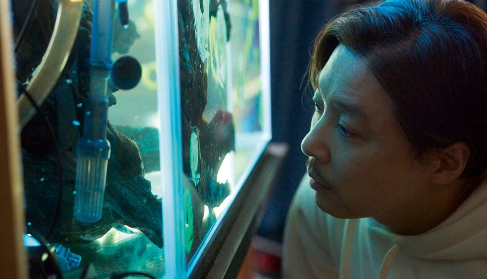 Tsuyoshi Domoto en Maru