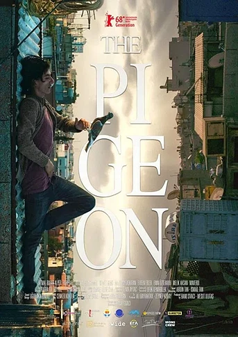 Poster de The Pigeon