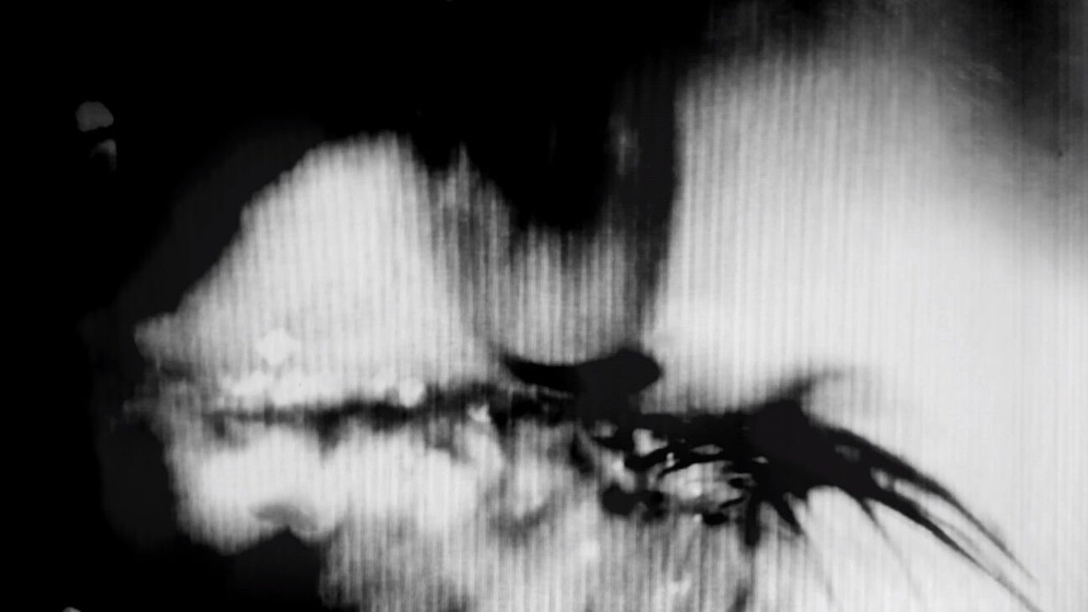 Imagen de The Grey Machine