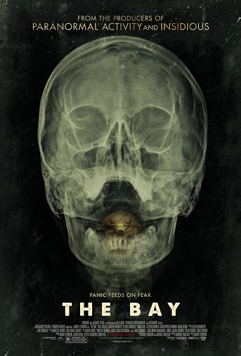 Poster de The Bay
