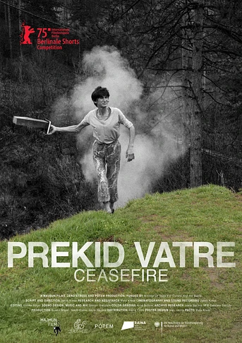 Poster de Ceasefire