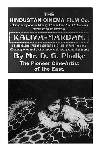 Poster de The Childhood of Krishna