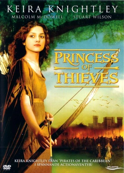 Imagen de la-princesa-de-sherwood (Poster)