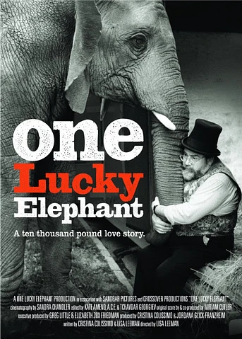 Poster de One Lucky Elephant