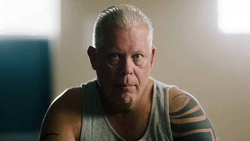 Imagen de Stranger at the Gate