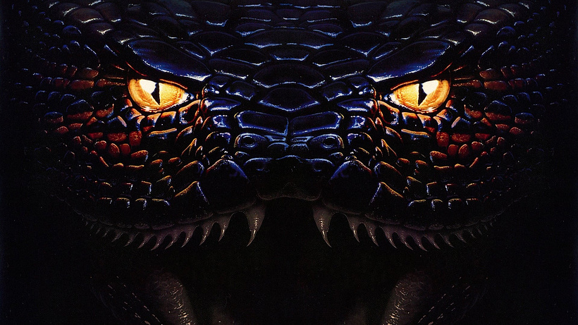 Imagen de Anaconda