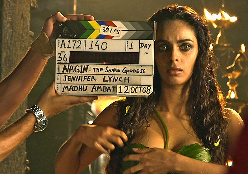 Imagen de Despite the Gods