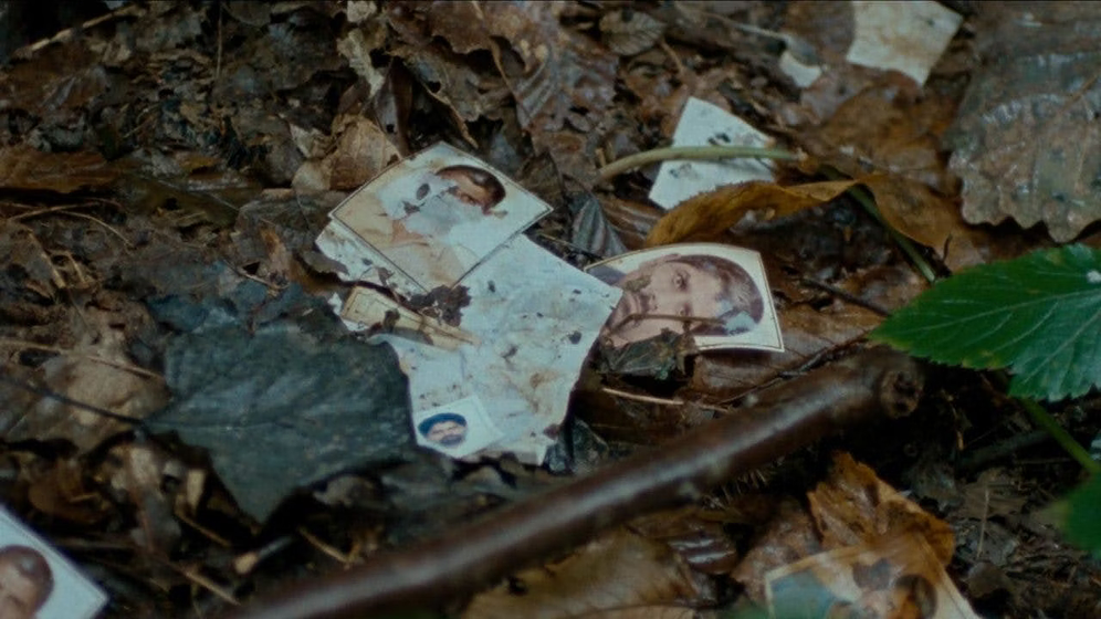 Imagen de The Landscape and the Fury
