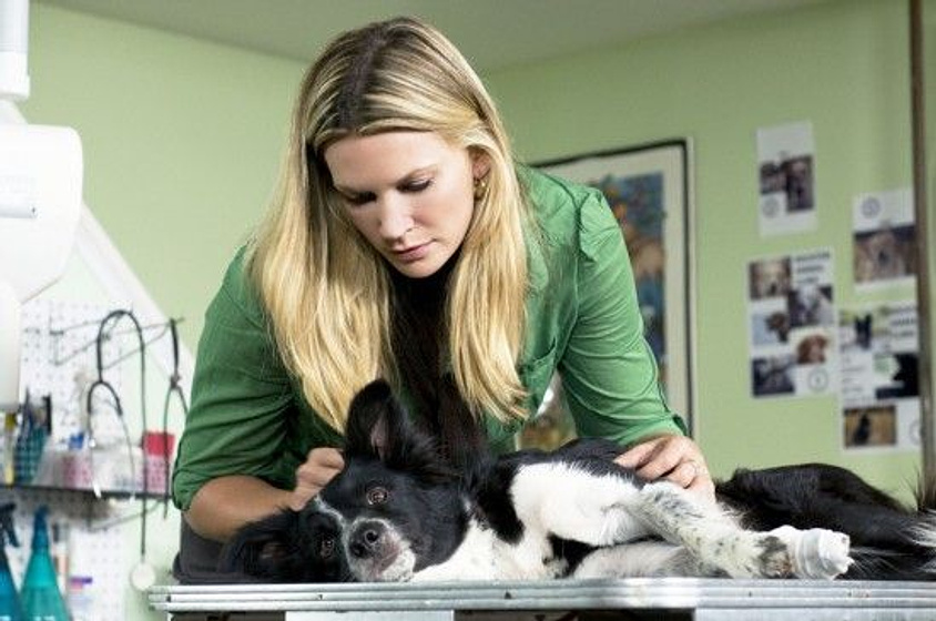 Natasha Henstridge en Toda una Vida Juntos