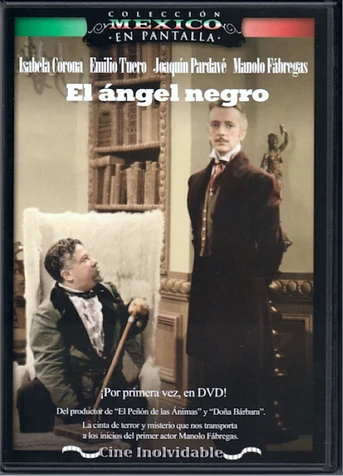 Poster de El ángel negro