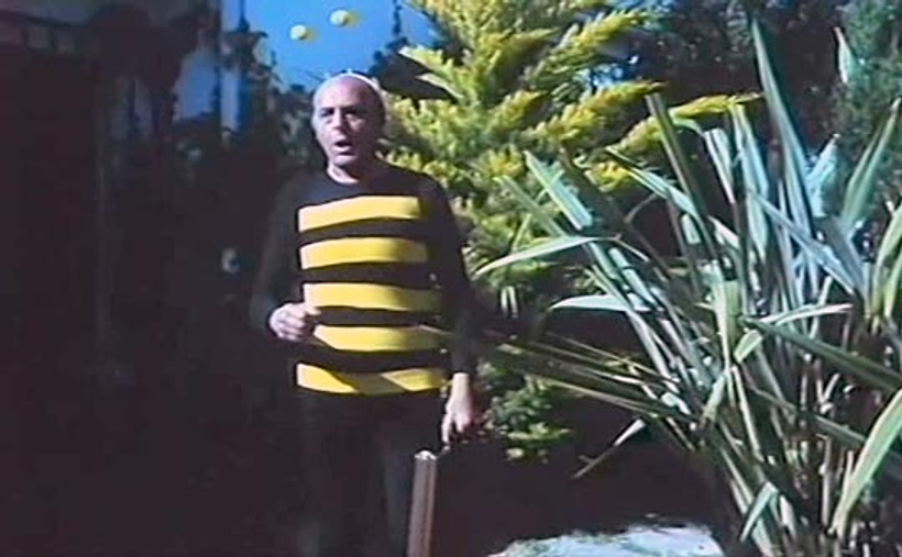 Imagen de La Avispita Ruinasa