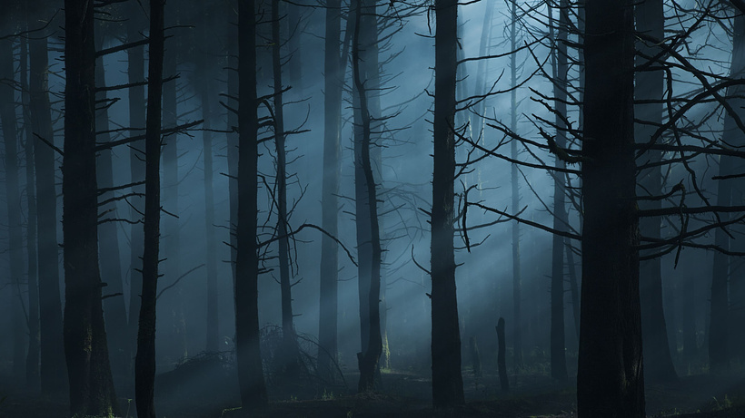 Imagen de Feral