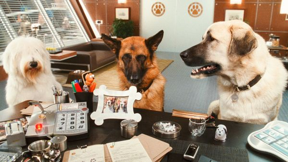 Imagen de Como perros y gatos. La Revancha de Kitty Galore