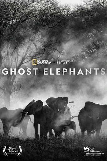 Poster de Ghost Elephants