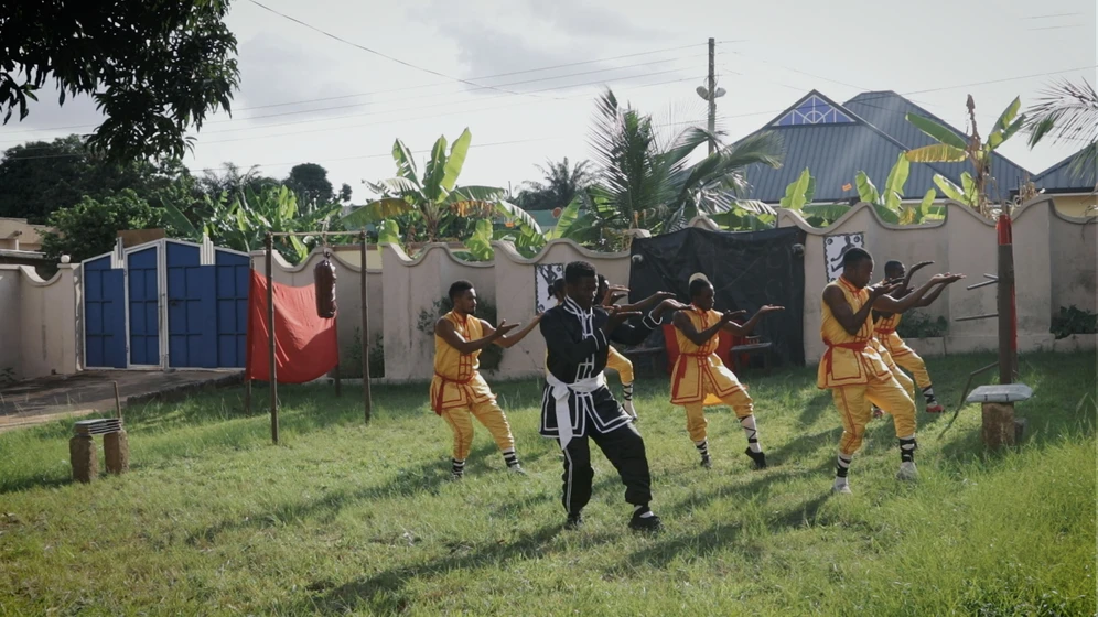 Imagen de african-kung-fu-nazis