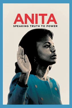 poster of movie Anita