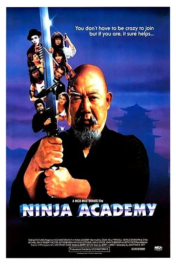 Poster de Academia de Ninjas