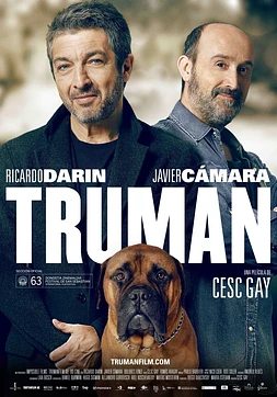 poster of movie Truman
