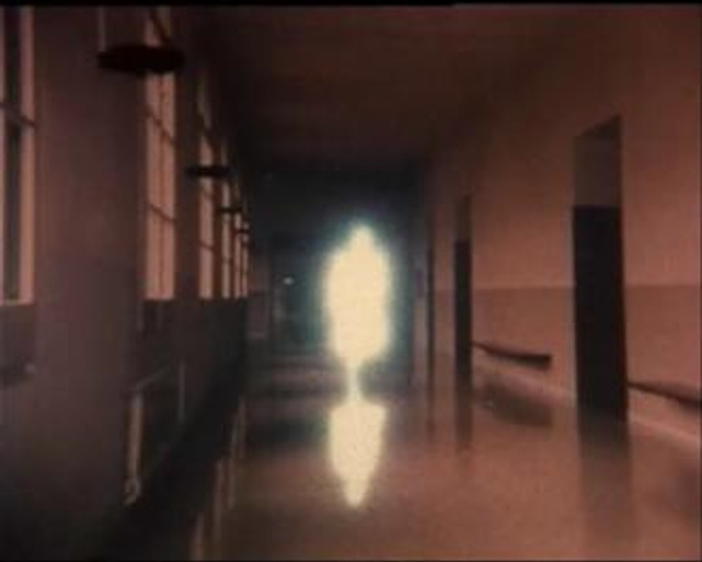 Imagen de Científicamente perfectos