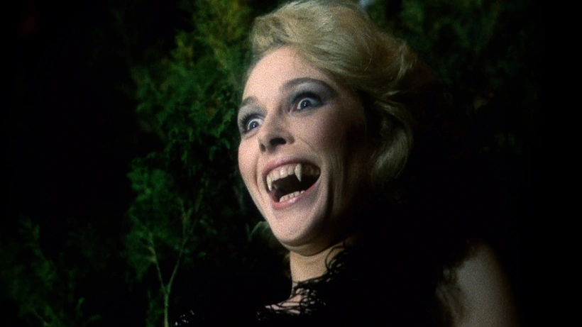 Imagen de I Like Bats