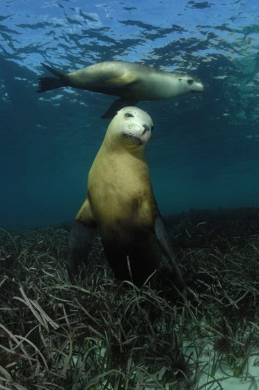 Imagen de under-the-sea-3d
