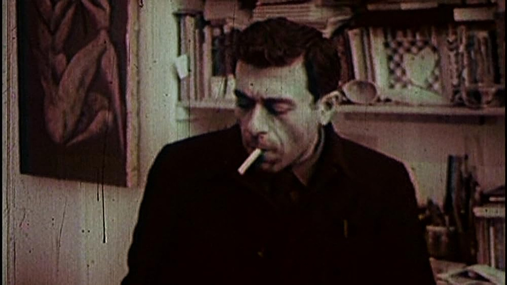 Bahman Mohasses en Fifi Howls from Happiness
