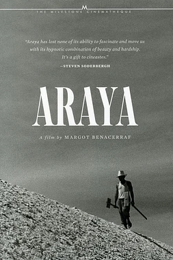 Araya