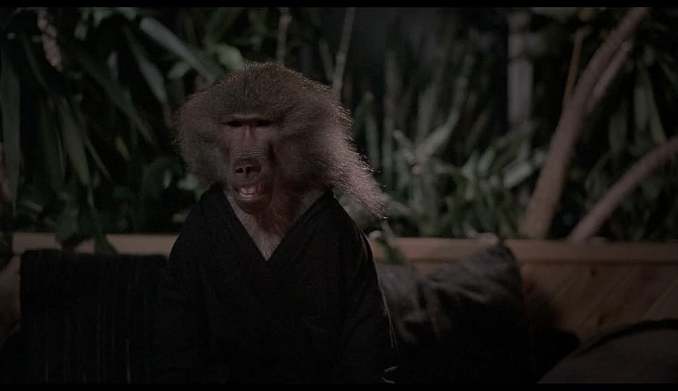 Typhoon en La Maldición del Ídolo